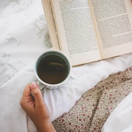 فندق مبيت وإفطار Casa Lnnoa Boutique Whit Private Pool 4*